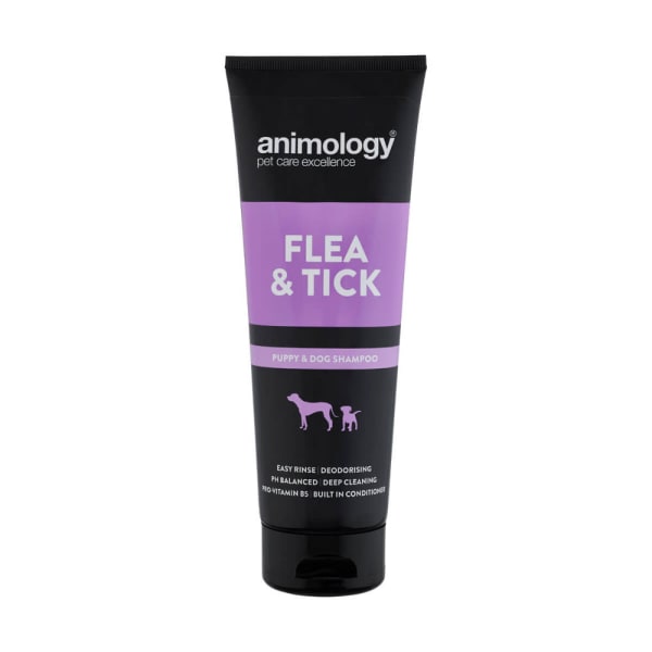 Animology-Flea-Tick-Shampoo-for-Dogs.jpg