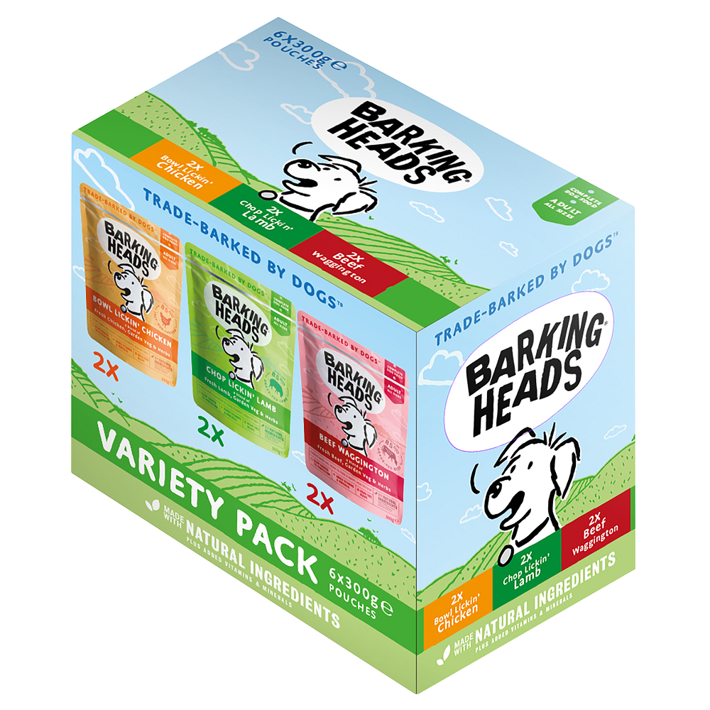 BH-Multipack-Case-2019-2000pxls.png