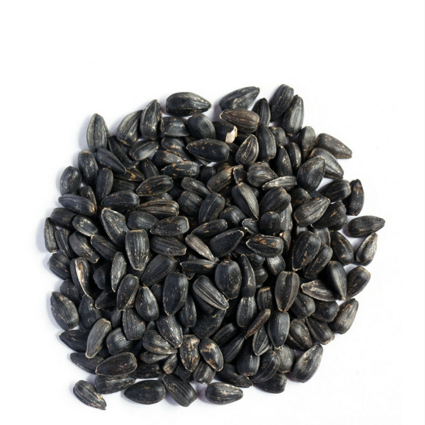 Black-Sunflower-Seed.jpg