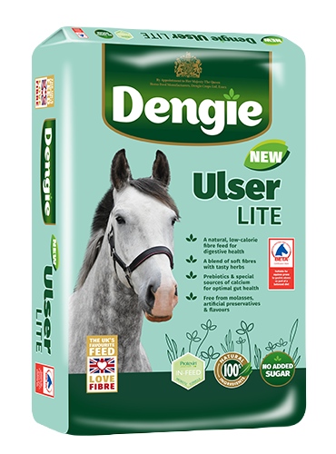 DENGIE-ULSER-LITE-LHS-web.png
