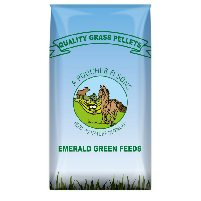 Emerald-Green-Grass-Nuts.jpg