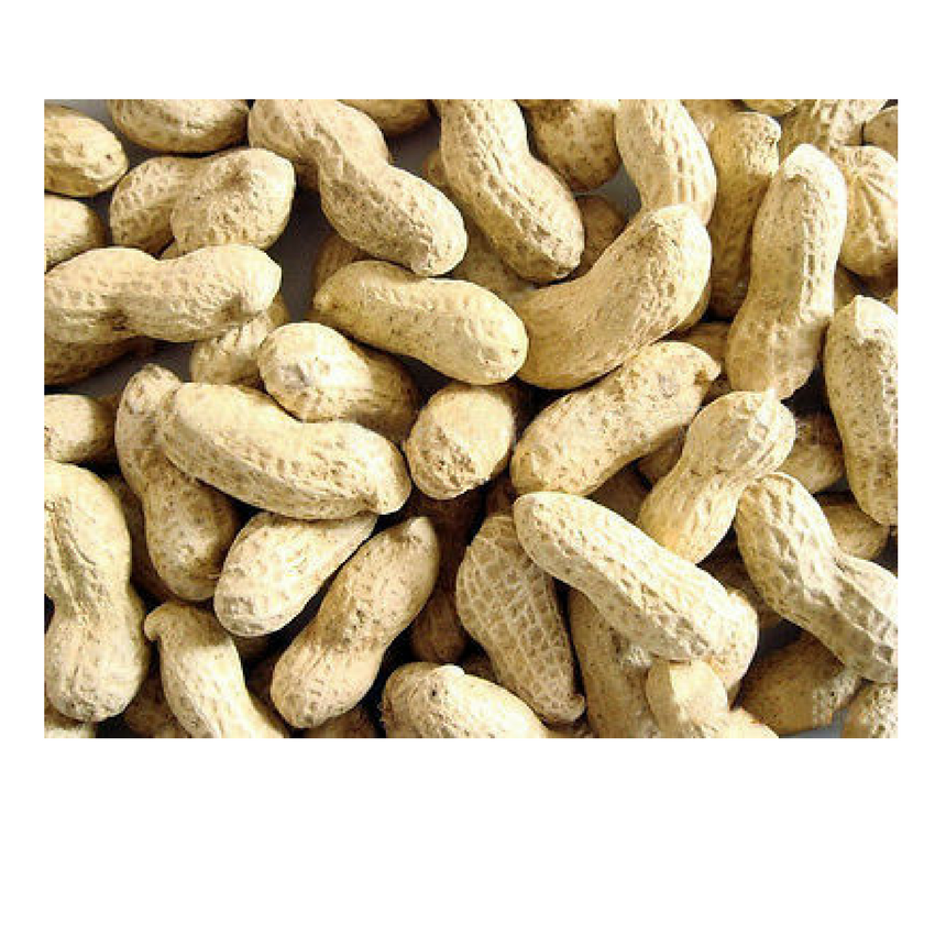 Peanuts-in-Shells.png