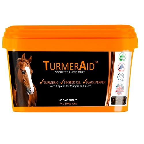 Turmeraid.png