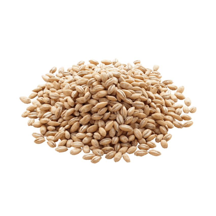 Whole-Barley.png