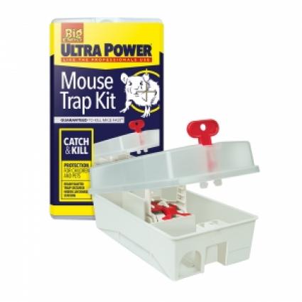 The Big Cheese - Effective Mouse Catch & Kill Pest Control Products