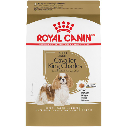 rc-cav-king-charles.jpg