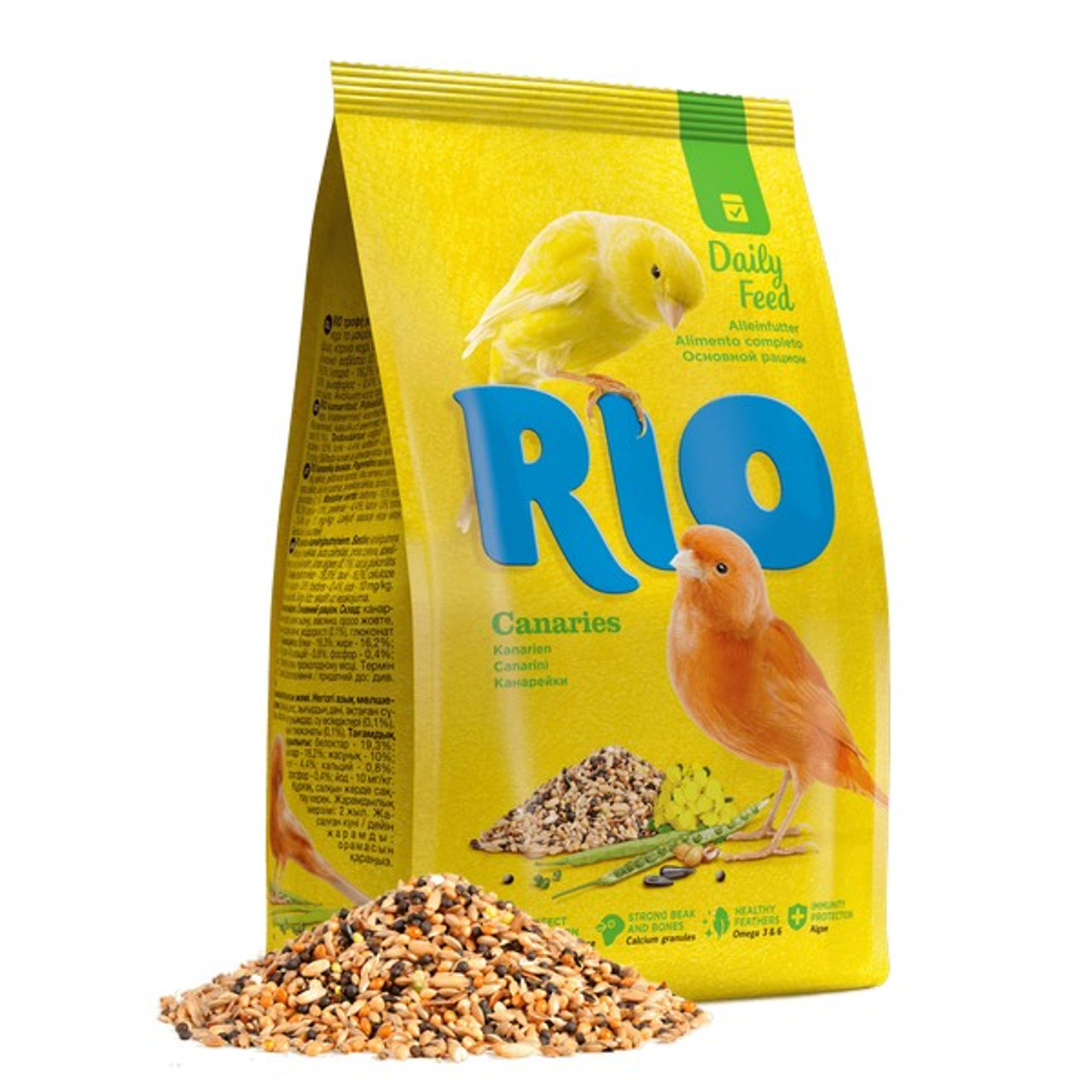 rio-canaries.jpg